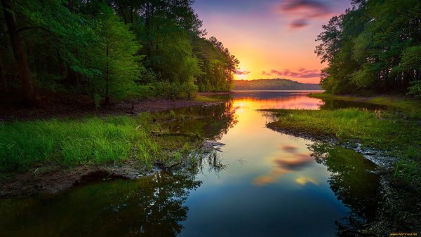 Природа река