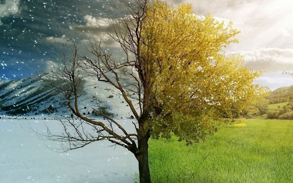 Зимнее лето весны