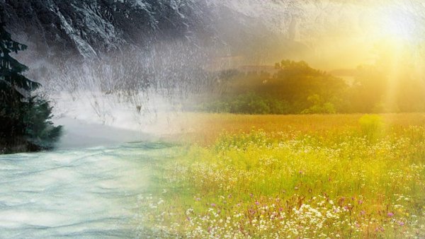 Лето среди зимы