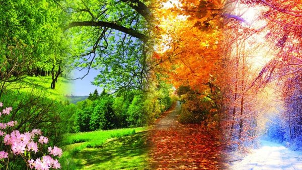 Времена года зима Весна лето осень