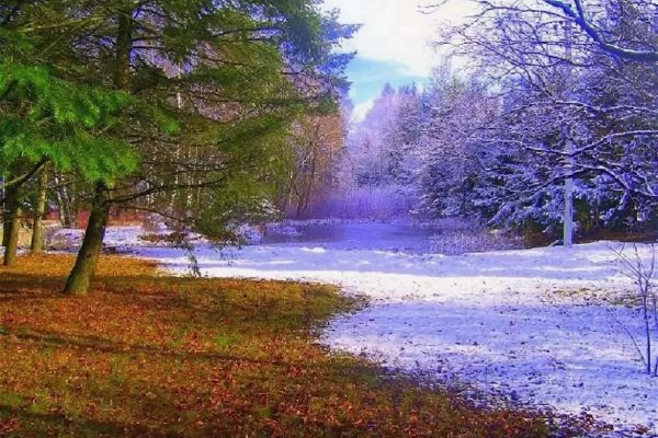 Дорога Наполину зима и Весна