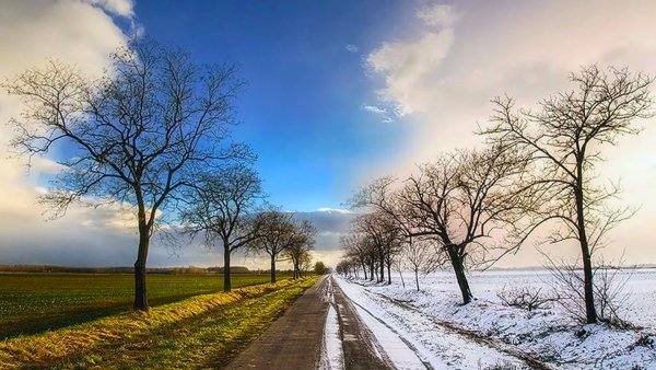 Времена года