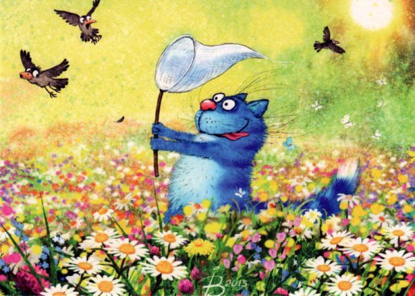 Коты Ирины Зенюк лето