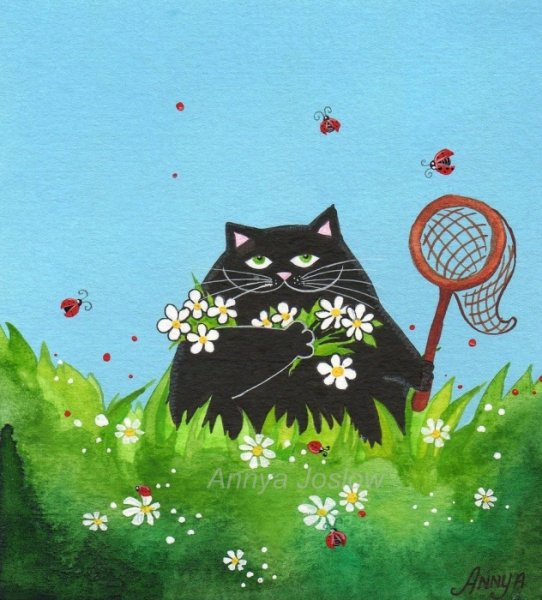 Рыжий котик