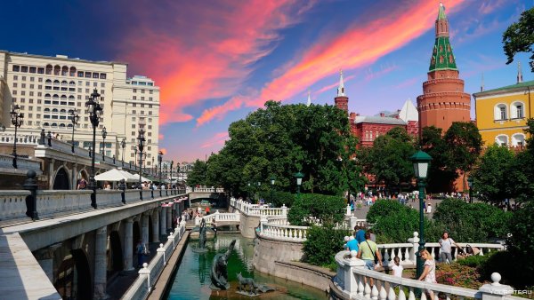 Лето в городе