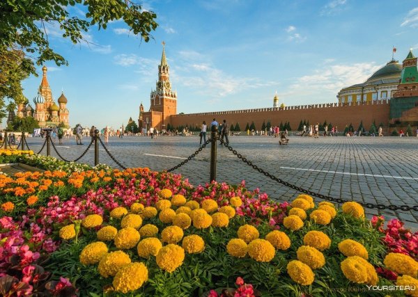 Солнечное лето в Москве