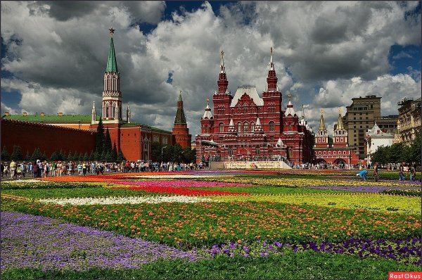 Москва красная площадь лето