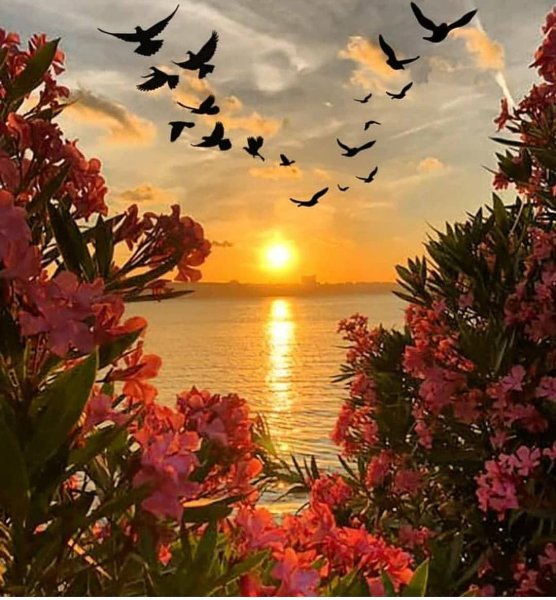 Природа море