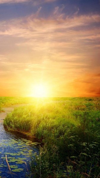 Природа вертикальные картинки