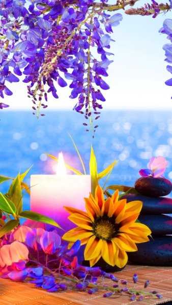 Летние цветы