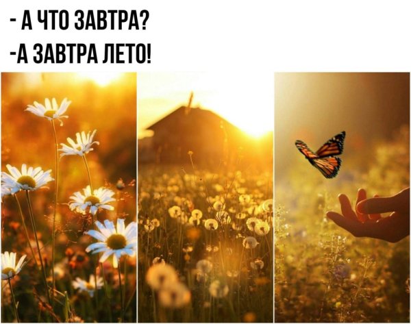 Завтра лето