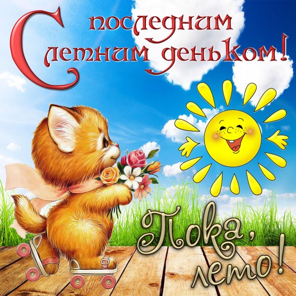 Как проходит лето