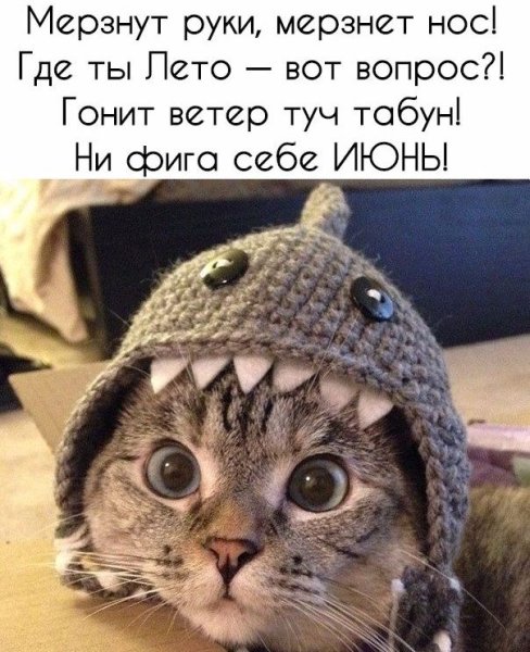 Открытки про Холодное лето прикольные