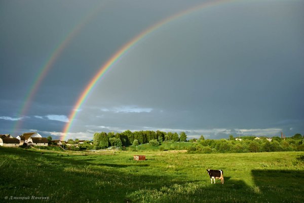 Белорусский пейзаж
