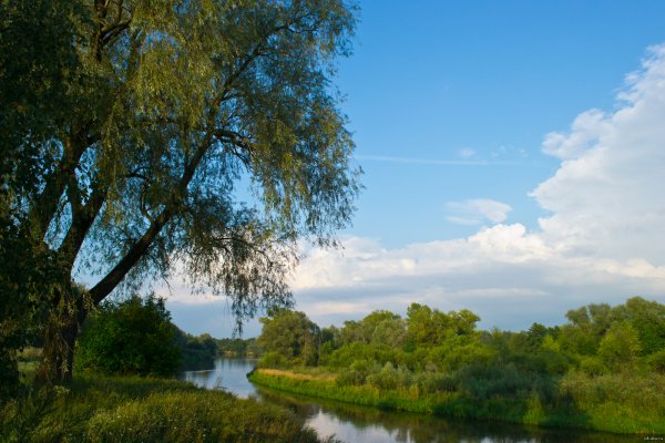 Природа Белоруссии картинки