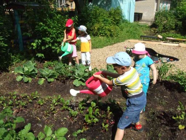 Огород для детей в детском саду