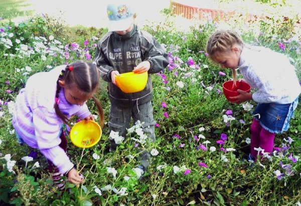 Труд в детском саду