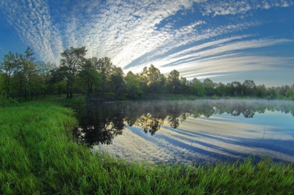 Полесье Белоруссия