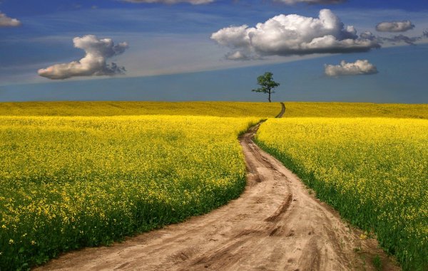 Даль природа