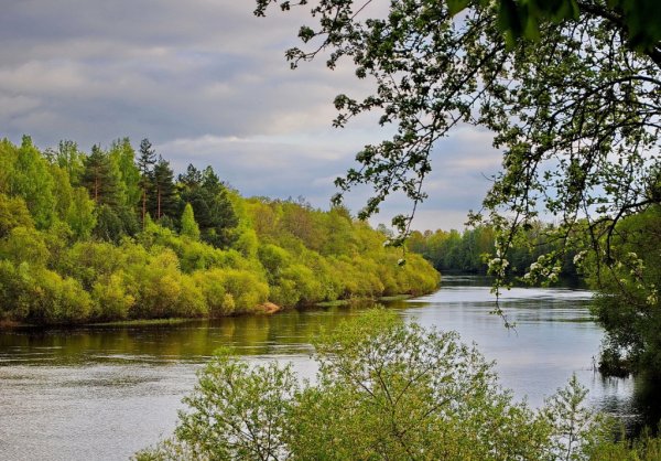 Реки и озера Беларуси