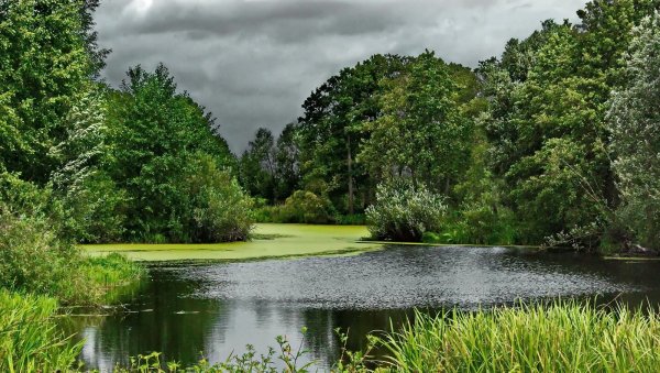 Яндекс картинки Беларусь