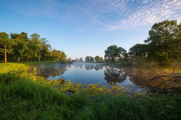 Полесская низменность Беларусь