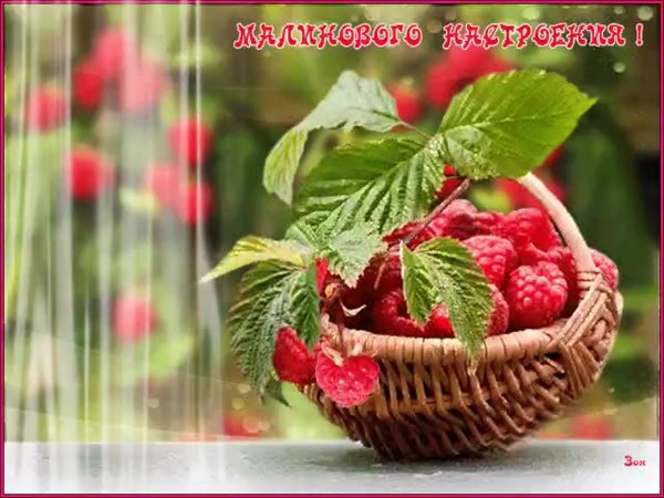 С летом поздравления