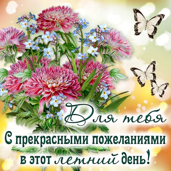 Отличного воскресного дня лето