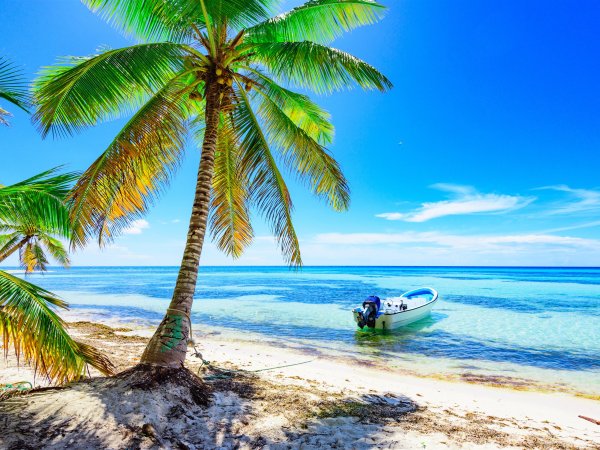 Тропический пляж