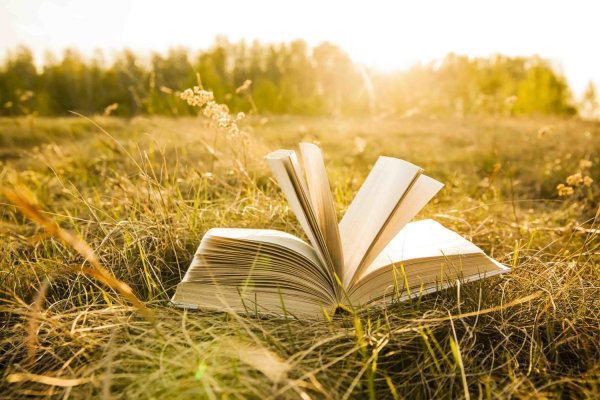 Лето книга фон