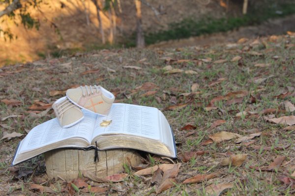 Библия фото на природе