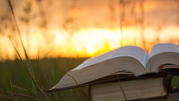 Библия на природе