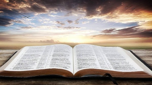 Лето с книгой