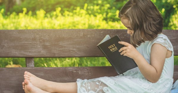 Книжный фон