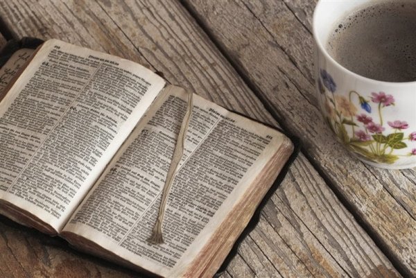 Библия фото в поле