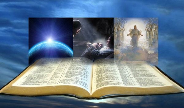 Цитаты про книги