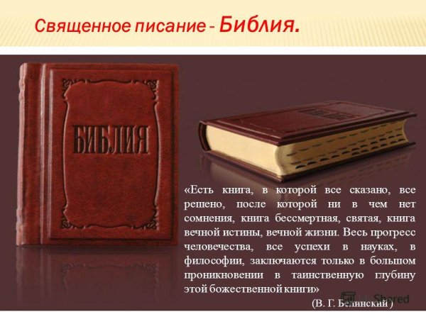 Летние путешествия с книгами