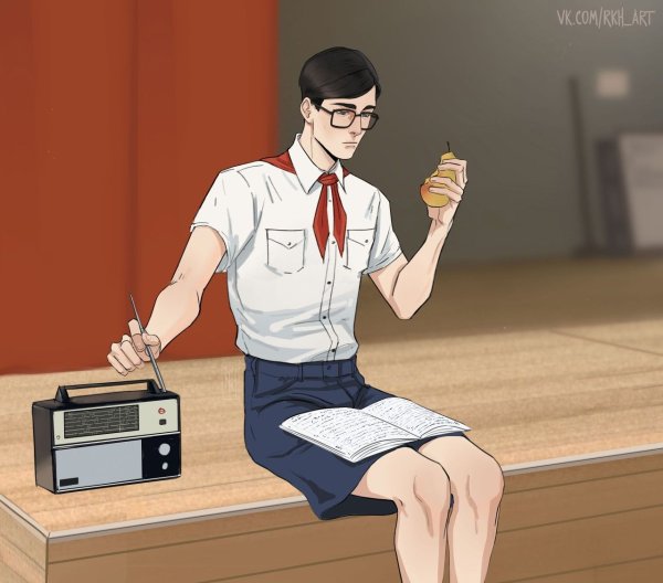 Лето в Пионерском лагере книга