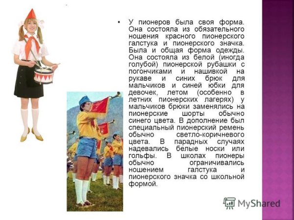 Лето в Пионерском галстуке книга