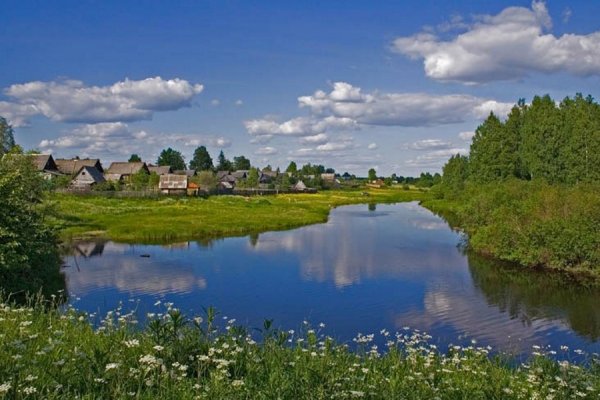 Малая Вишера Новгородская область природа