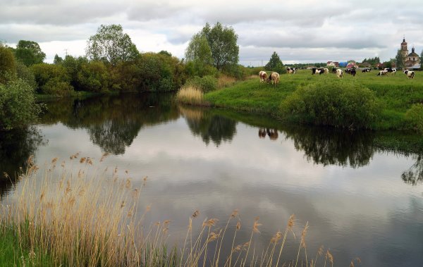 Река тёша Заречное