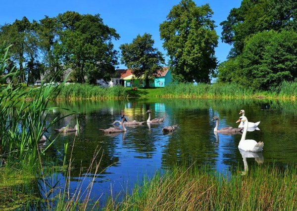 Деревня деревенька Тверская область