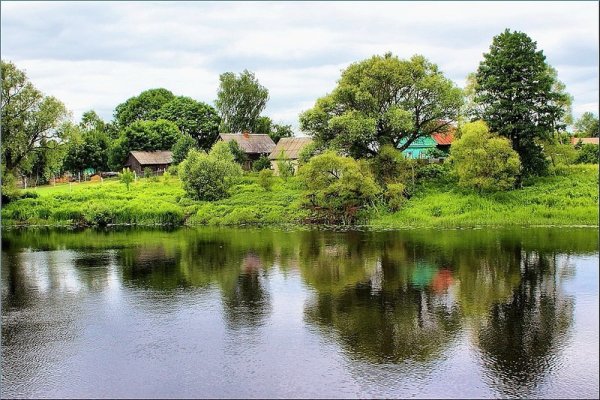 Лето река деревня