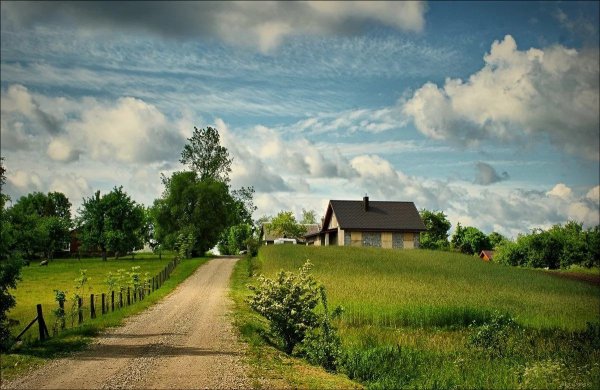 Природа лето деревня