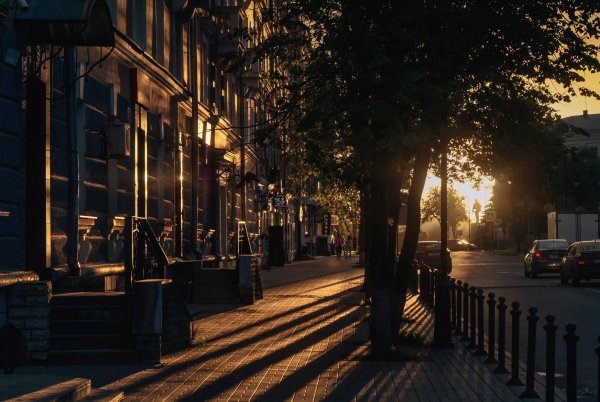 Летний Вечерний парк