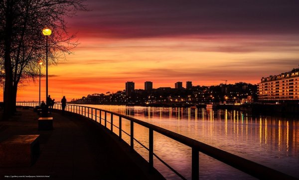 Нескучный сад ночью