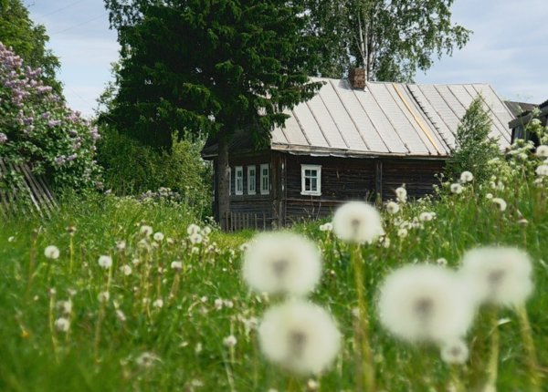 Деревенский домик детства