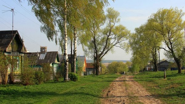 Фото села летом