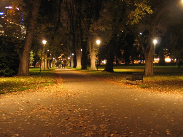 Вечер в городе