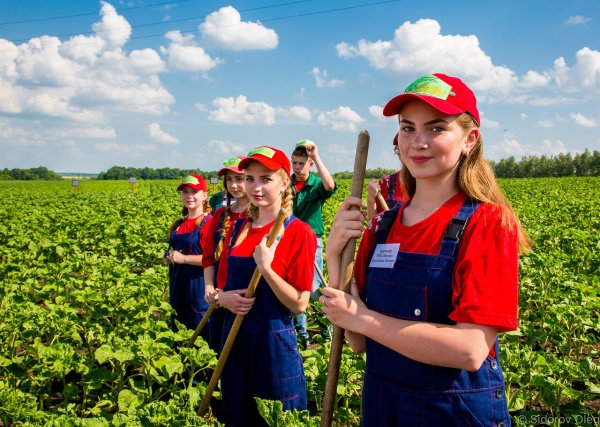 Работники в поле
